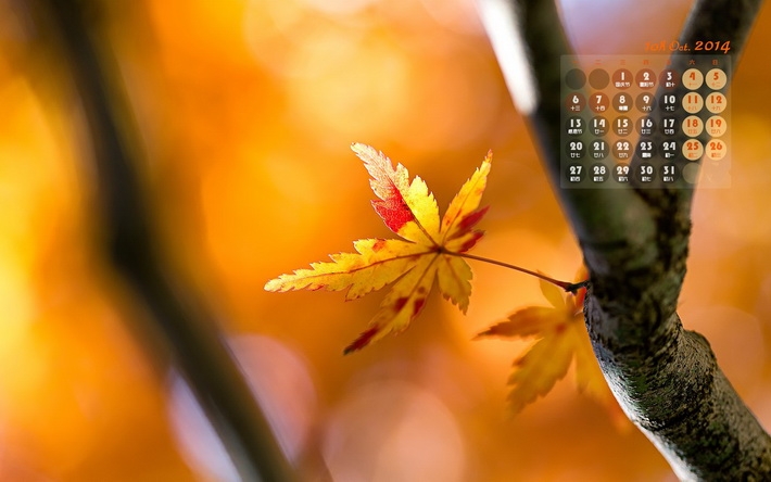 2014年10月枫叶日历电脑壁纸