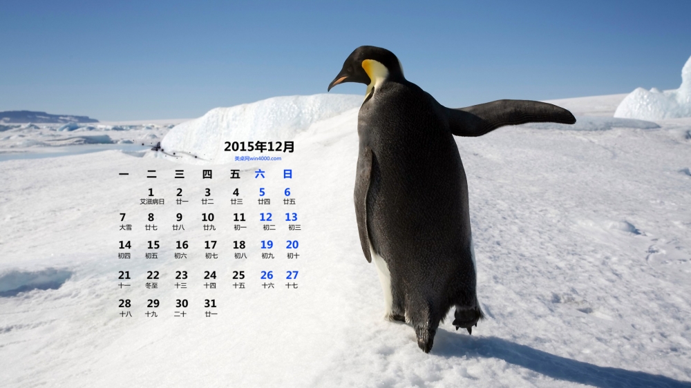 2015年12月日历壁纸可爱的动物南极企鹅图片3