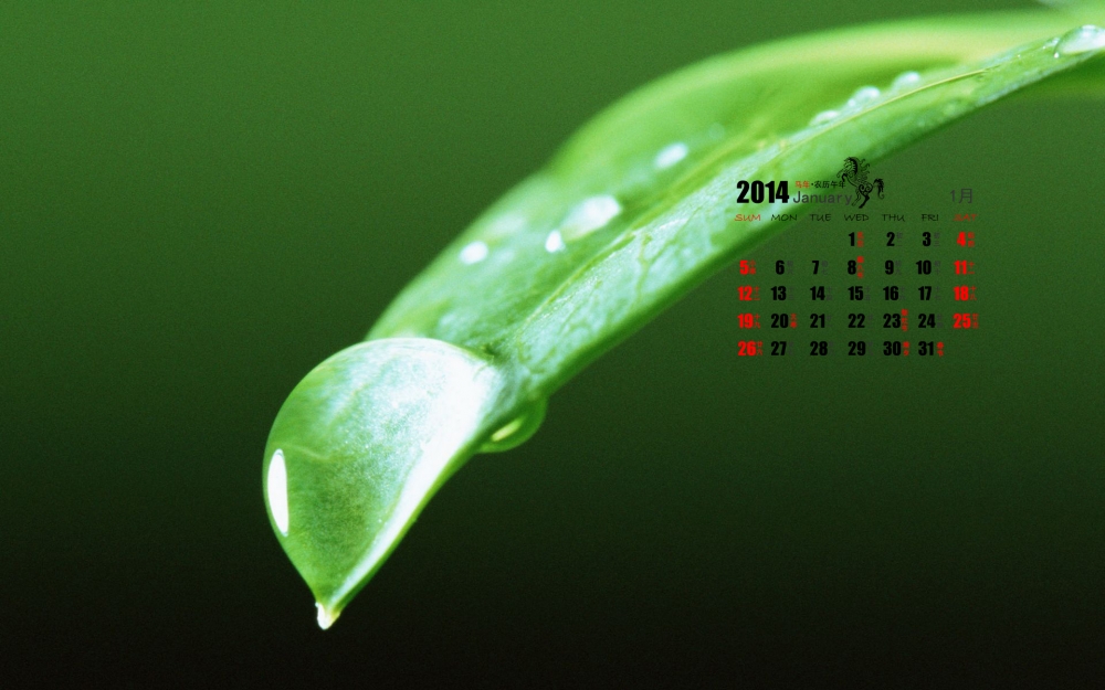 2014年1月日历养眼绿色植物桌面壁纸
