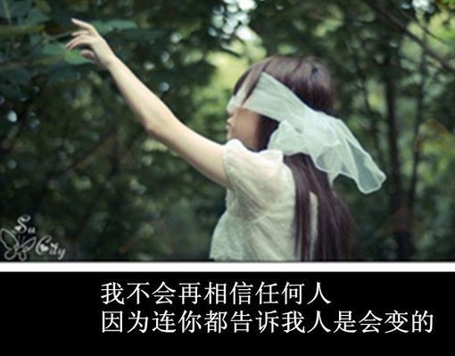 我抱着你给我的世界，却始终找不到我的归宿