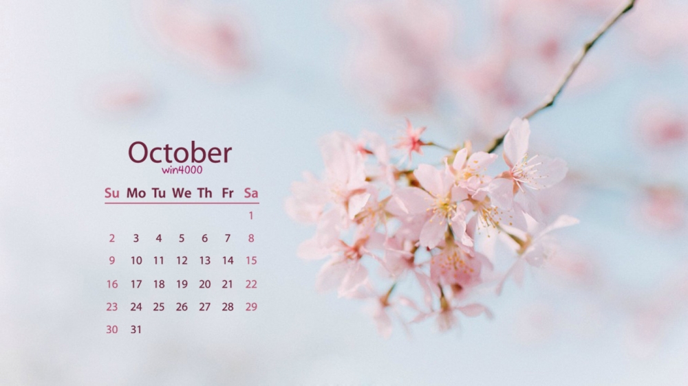 2016年10月日历粉色樱花好看的电脑桌面壁纸