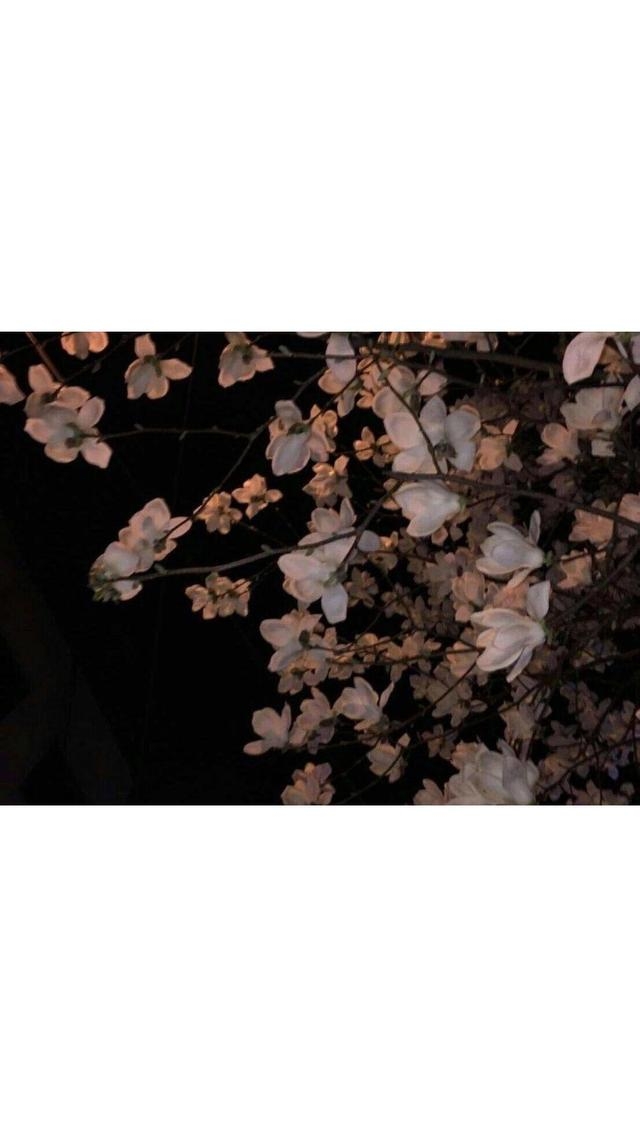 感情什么的真的很影响大哥行走江湖 {头像}