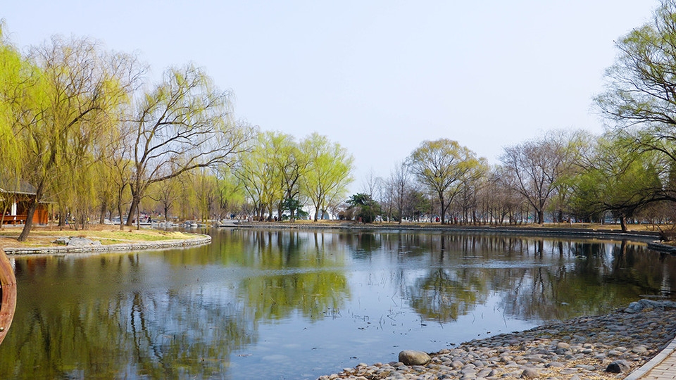 北京玉渊潭公园百花齐绽花草图片