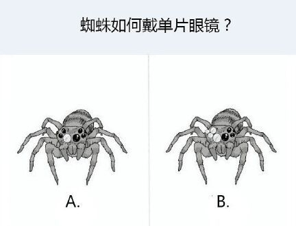你来思考几个问题