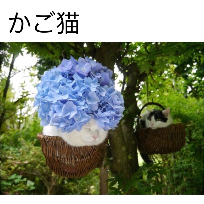 看不见我     看不见我