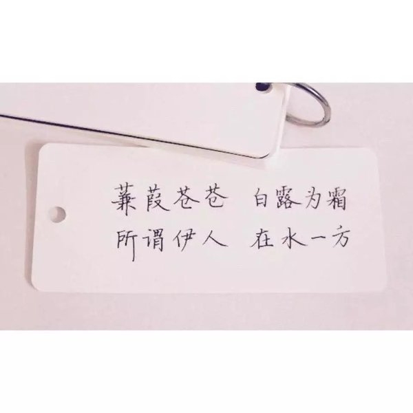 我也想浪迹一生，却一不小心钟情了一个人。