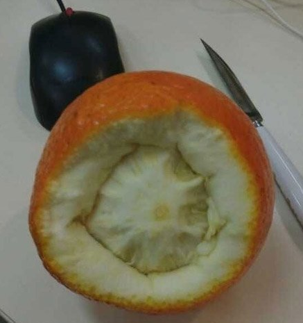 没见过脸皮这么厚的橙子