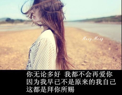 我抱着你给我的世界，却始终找不到我的归宿