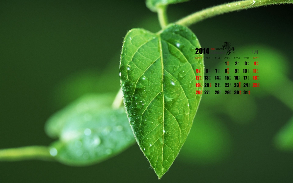 2014年1月日历养眼绿色植物桌面壁纸