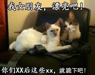 神一般的图片搞笑配文