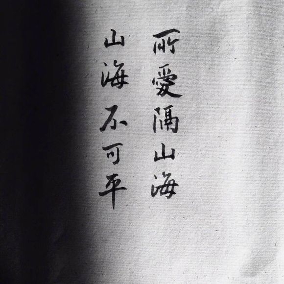 白灰里22号.