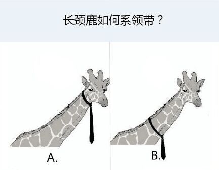 你来思考几个问题