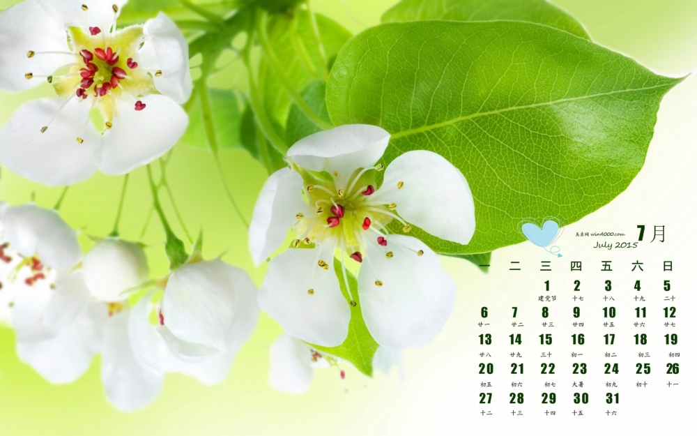 2015年7月日历壁纸精选高清小白花清新护眼植物花卉风景桌面壁纸下载