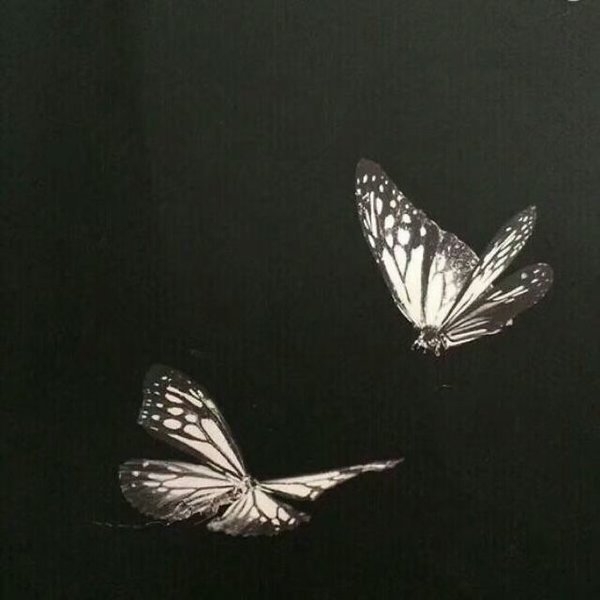 别去计算日子 我能爱你一辈子