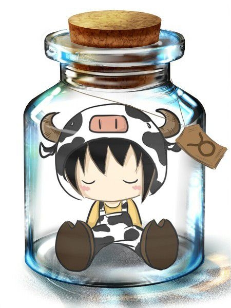 最爱十二宫