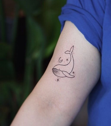 女生手臂鲸鱼小清新线条纹身