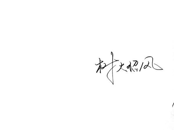 能轻易失去的感情谈不上遗憾.