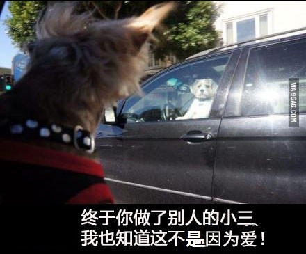 神一般的图片搞笑配文
