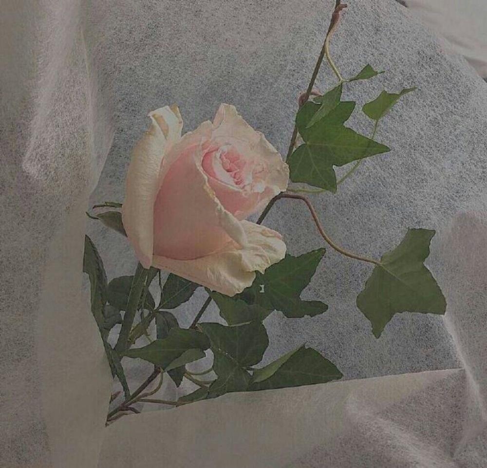 思念总是在深夜涌上思绪 唯美意境图片