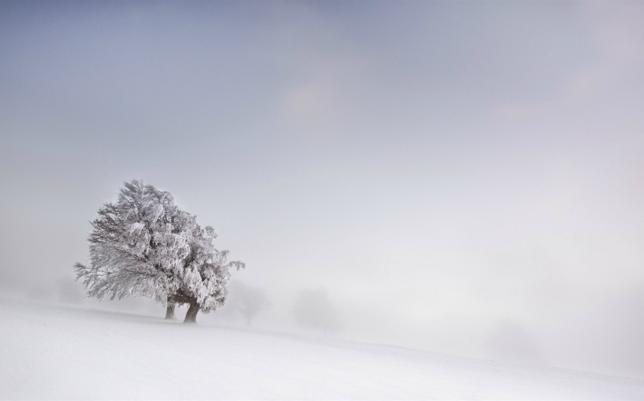 冬日绝美雪景摄影电脑壁纸