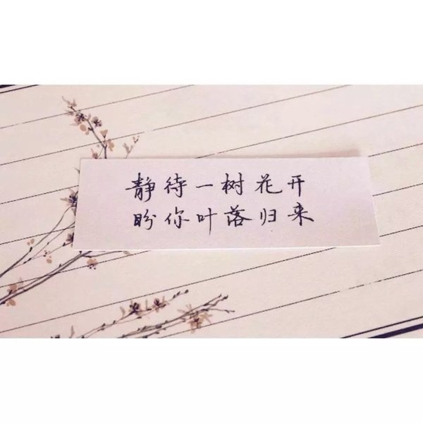 我也想浪迹一生，却一不小心钟情了一个人。