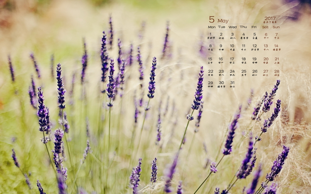 2017年5月小清新植物花卉桌面日历壁纸