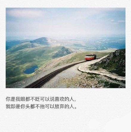 久伴必定生情，多言始于厚爱。