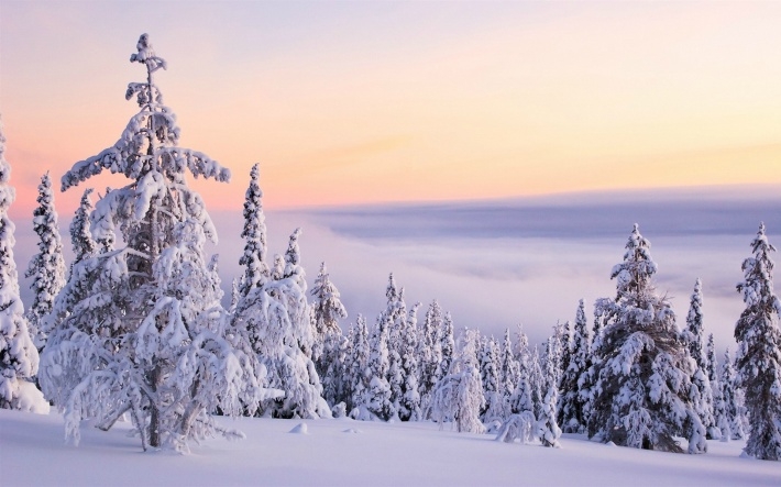 冬日绝美雪景摄影电脑壁纸