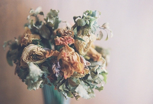 生活的智慧就是活出自己想要的样子 鲜花唯美图片