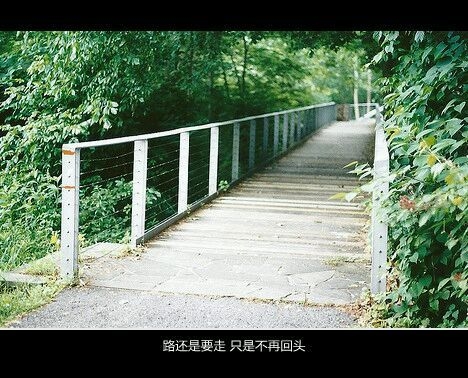 路还是要走，只是不再回头