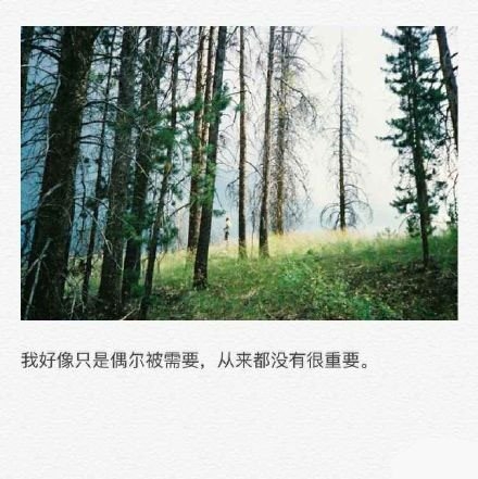 久伴必定生情，多言始于厚爱。