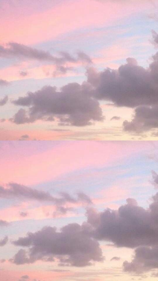 边白白:回归