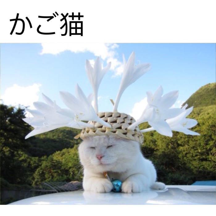 看不见我     看不见我
