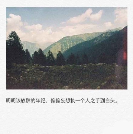 久伴必定生情，多言始于厚爱。