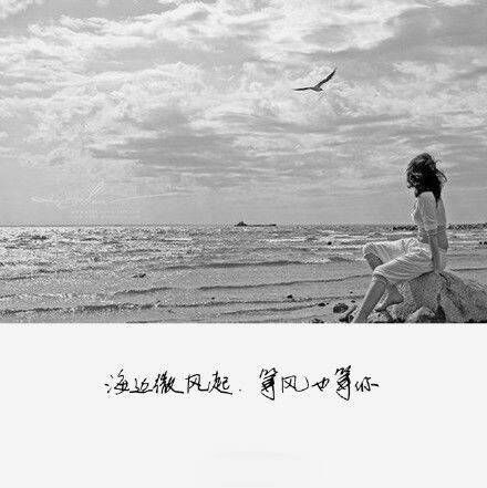 无情的是日子，请你珍重