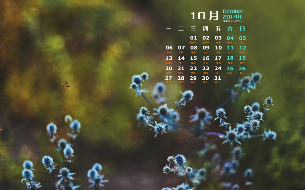 2014年10月日历桌面壁纸清新养眼的绿色植物护眼壁纸