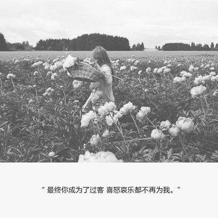 下次见你，我要以好久不见得名义抱你