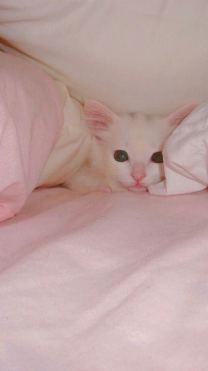 你最好看了