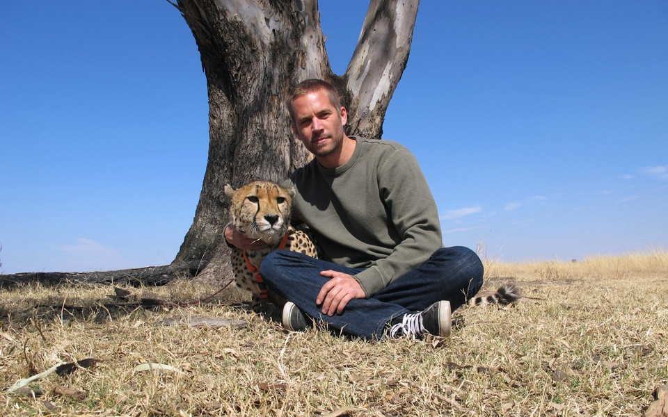 保罗·沃克 Paul Walker 速度与激情男主角壁纸