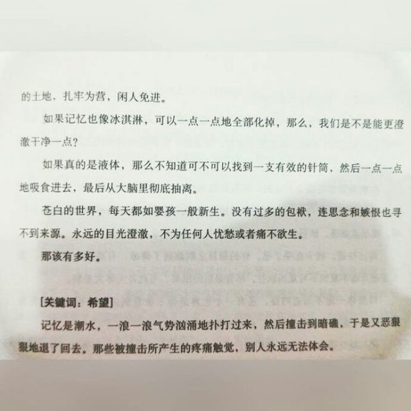 希望熬过孤独的你 能活成自己喜欢的样子