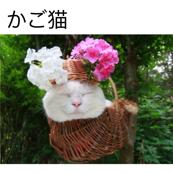 看不见我     看不见我