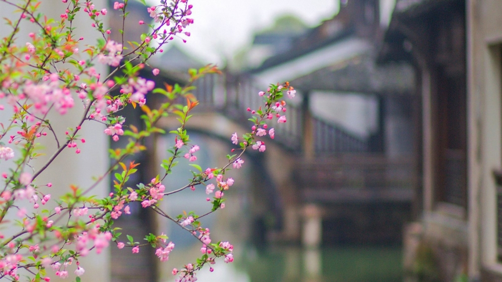 江南水乡乌镇风景图片电脑壁纸