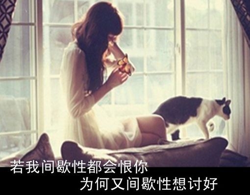 我抱着你给我的世界，却始终找不到我的归宿