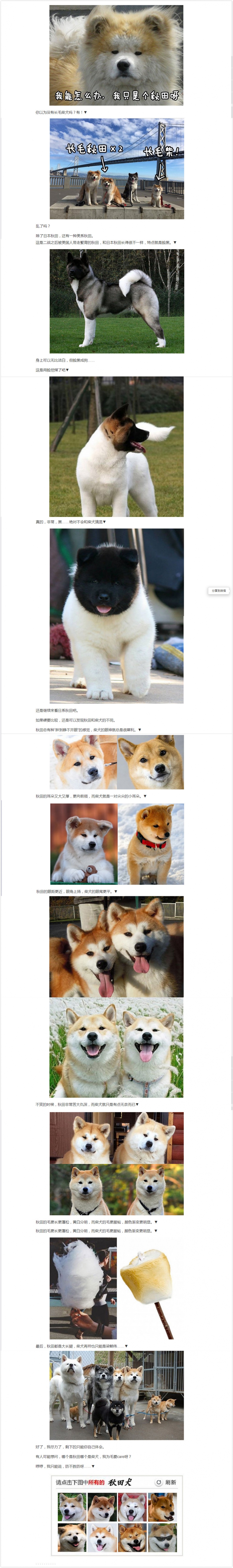 那个，你又认错狗了!!!!