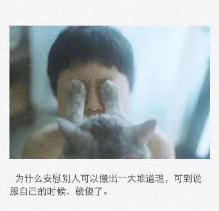 最清醒是你，回不去也是你