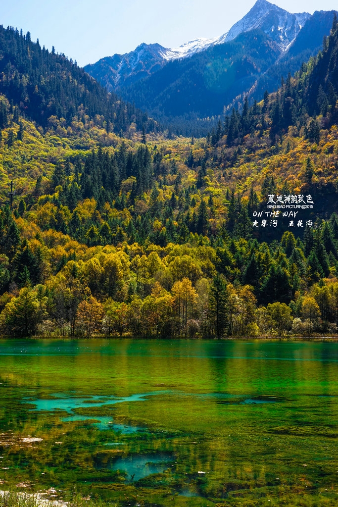 九寨沟秋色美丽风景图片壁纸
