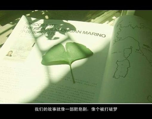 我抱着你给我的世界，却始终找不到我的归宿