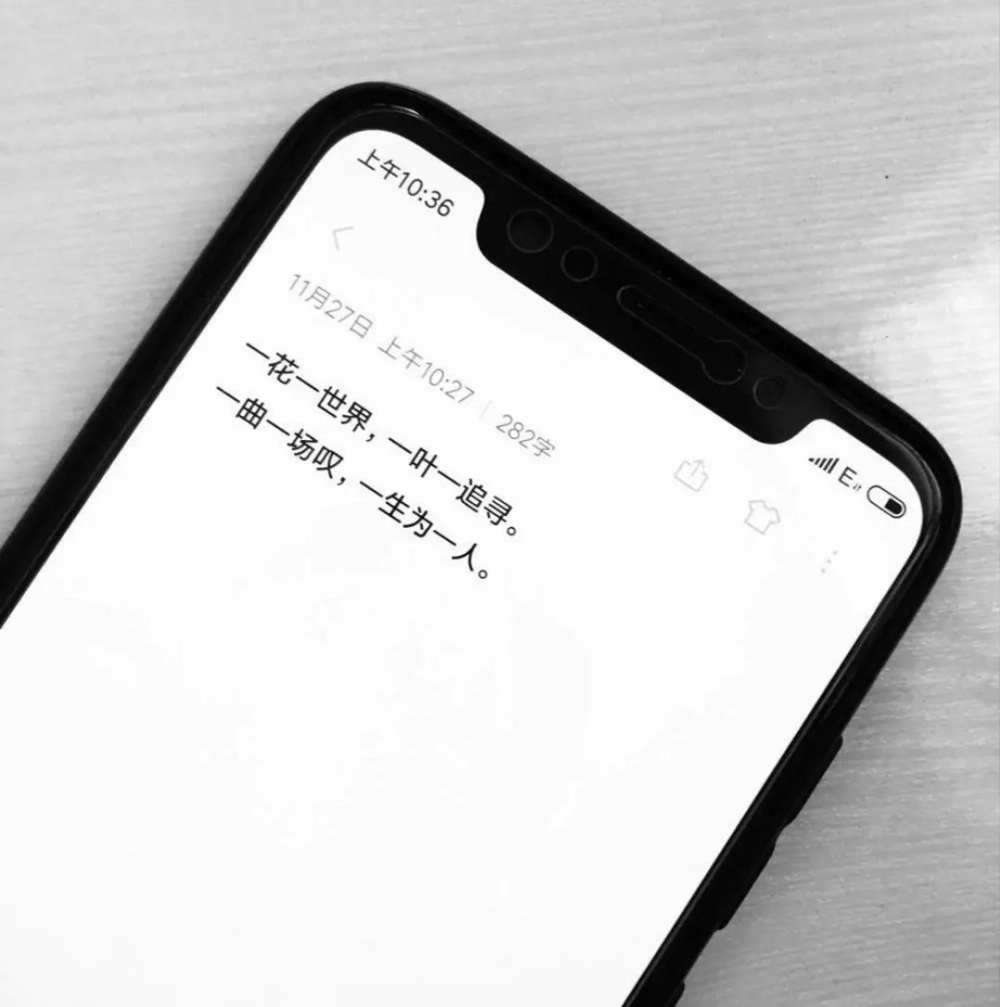 只要是你 世间再无佳人 手机非主流伤感文字图片