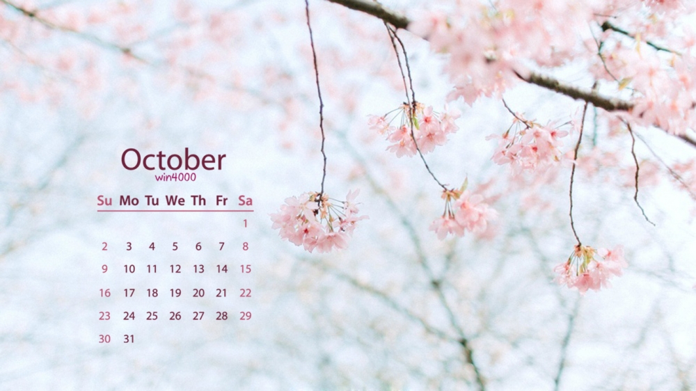 2016年10月日历粉色樱花好看的电脑桌面壁纸