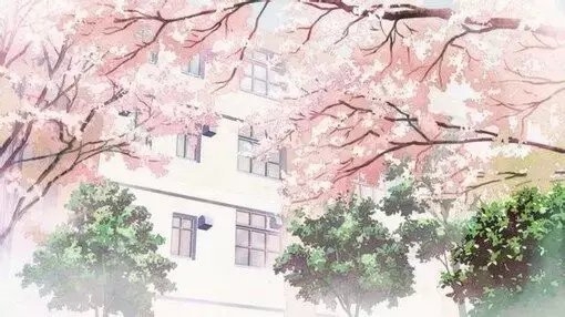 真感情才没有话题